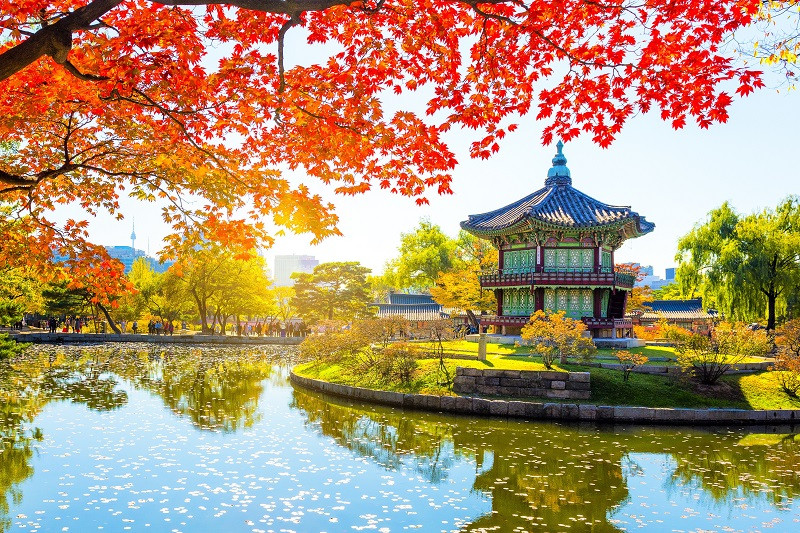 Du lịch mùa thu đừng bỏ qua cơ hội ghé thăm Seoul, Hàn Quốc.